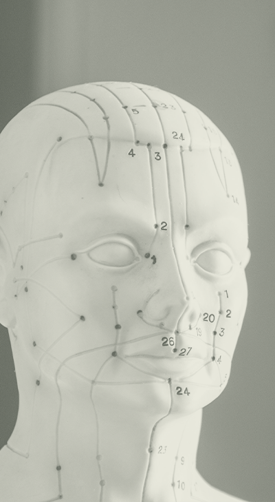 Lines With Numbers On Head Figure Acupuncture Lines With Numbers On Head Figure Acupuncture